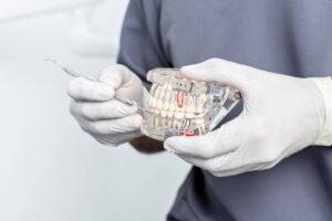 The Sydney Implant Institute